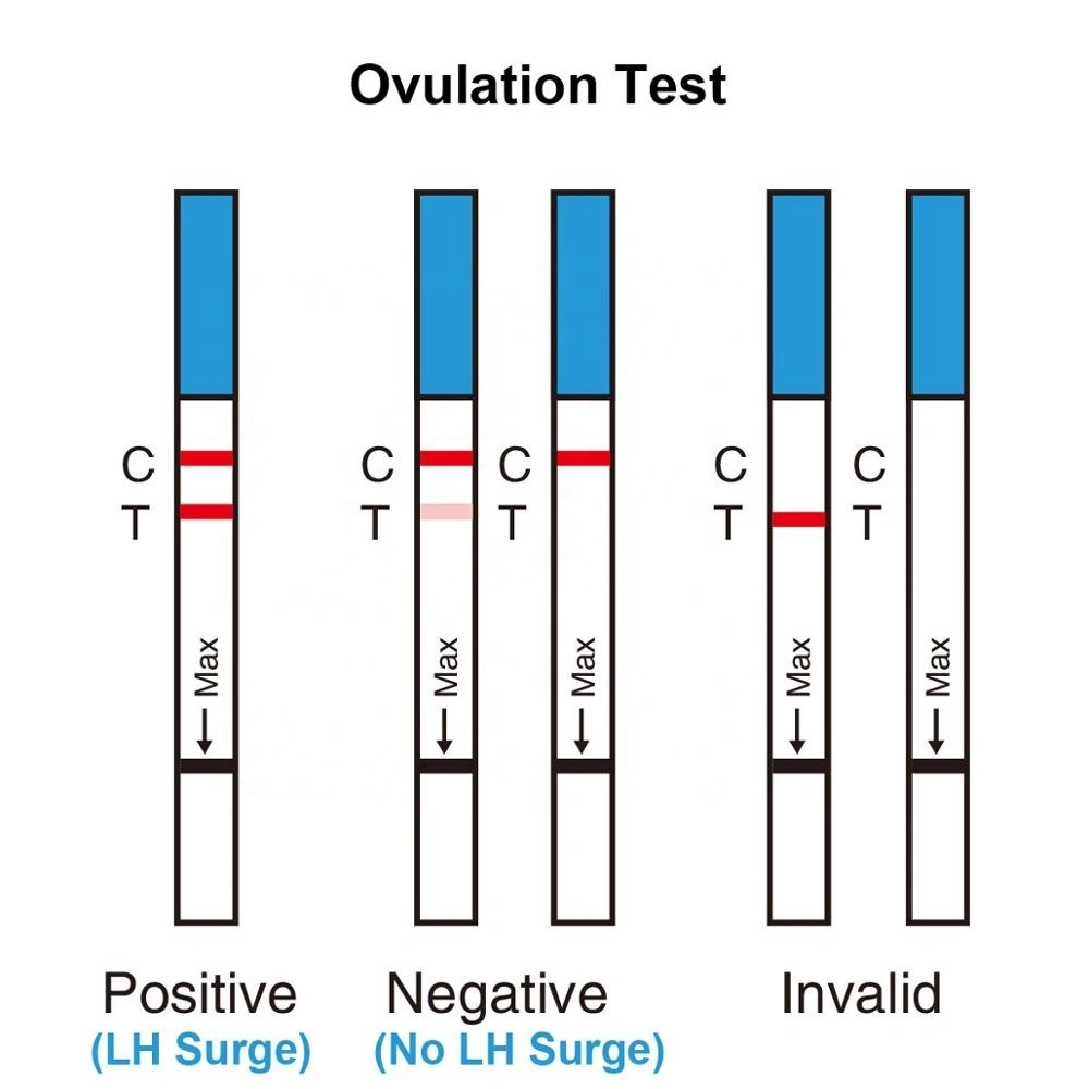 One Step Hot Sale Disposable High Accuracy OEM Urine Housing Lh Ovulation Rapid Test Kit