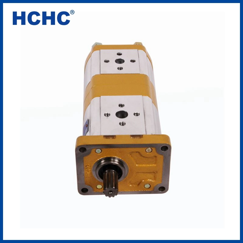 High Pressure Hydraulic Double Gear Oil Pump Hydraulic Power Unit Cbwlgy1-G322/B310-CF1X