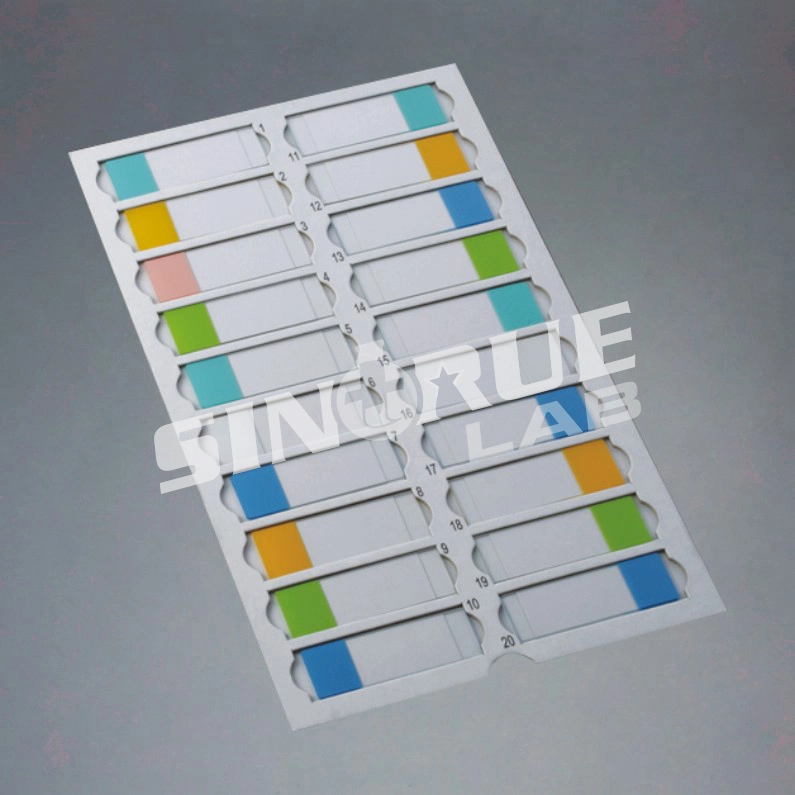 Lab Slides Mailer with Lid and Dividers