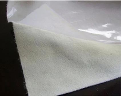 Composite Geomembrane with Single-Layer Geotextile or Double Layers