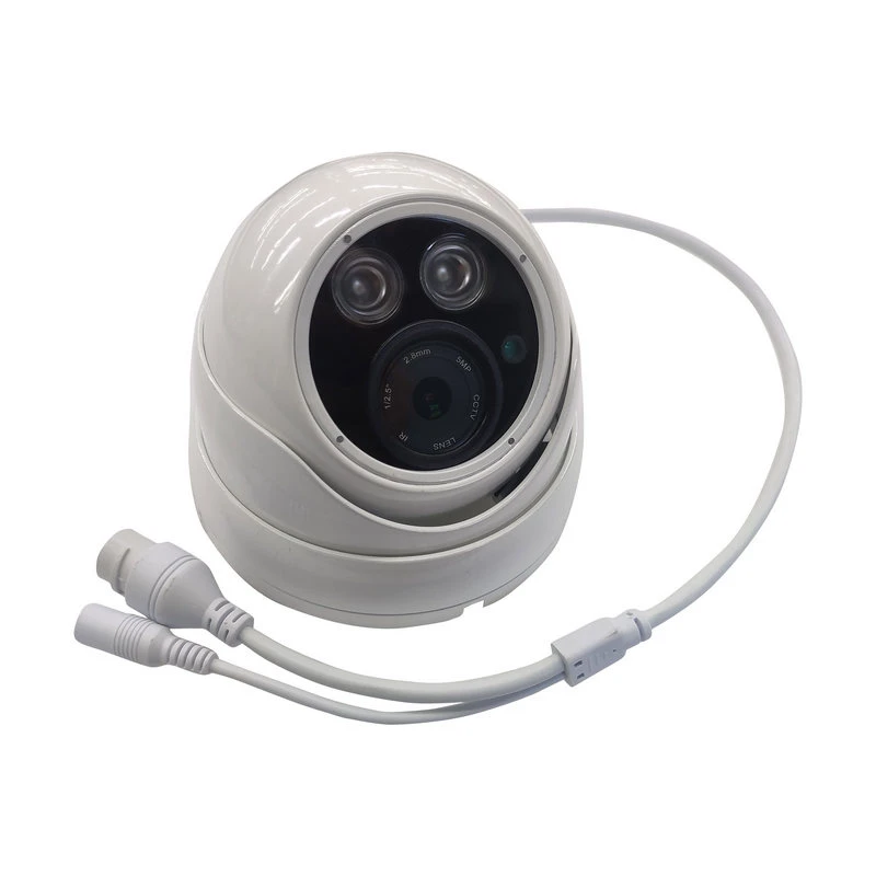 800TV Lines High Speed Dome Security Camera with CE FCC RoHS Certificates