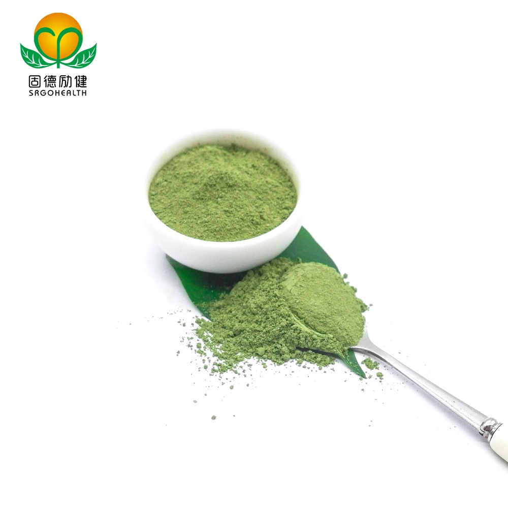 Сертификат GMP зеленого чая не органических Matcha порошок