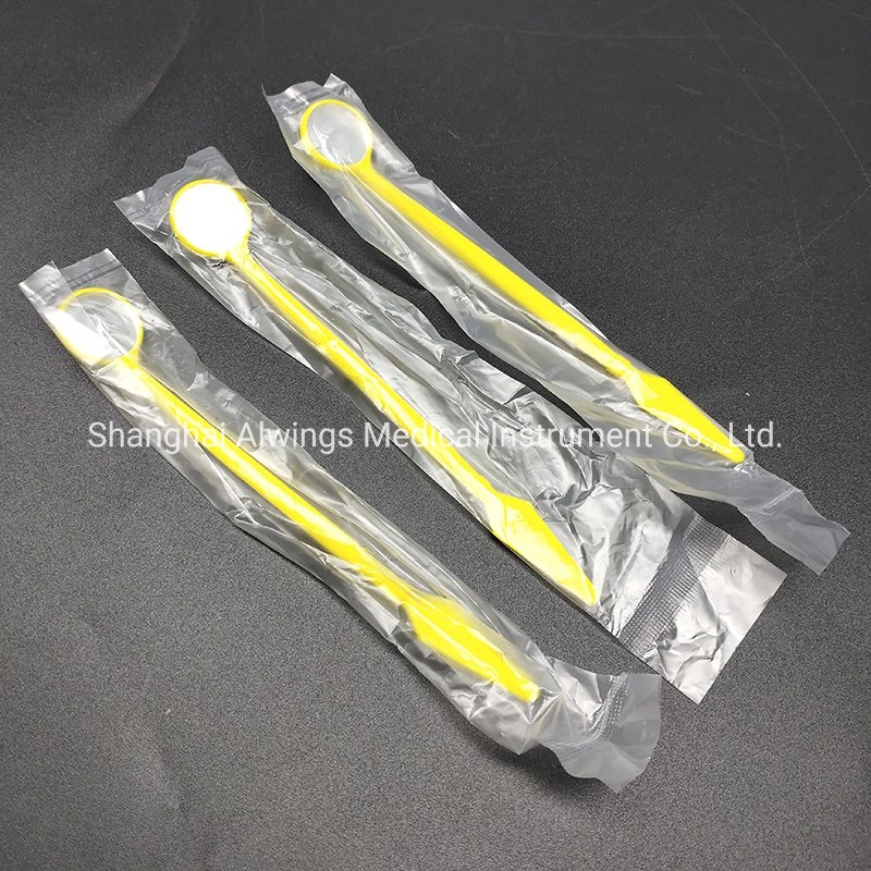 Dental Instruments Dental Disposable Mirror with Glass Lens Bag Packing