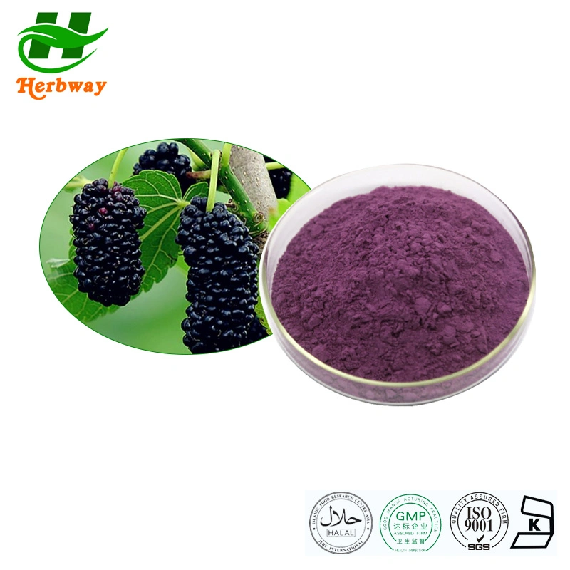 Herbway Free Probe koscher Halal FSSC HACCP zertifiziert Obst und Gemüsesaft Pulver Mulberry Fruit Extract Mulberry Fruit Powder