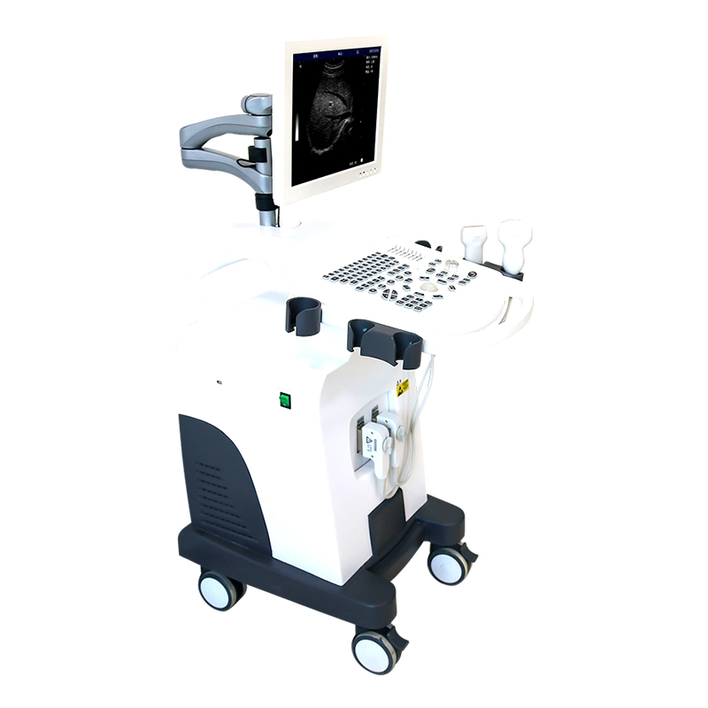 Fy-350 Trolley B/W Ultrasound Machine Instruments