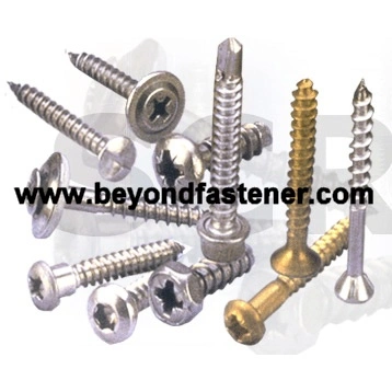 Self Tapping Screw/Self Drilling Screw/ Pozi Screw Bolts