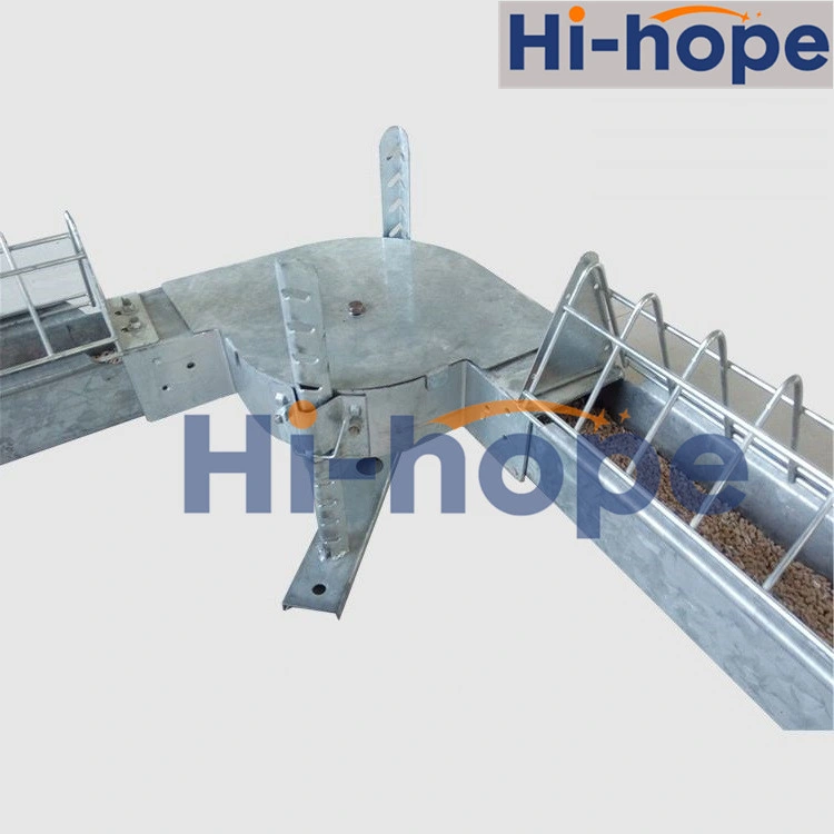 Chain Plate Conveyor Feed System for Poultry Field