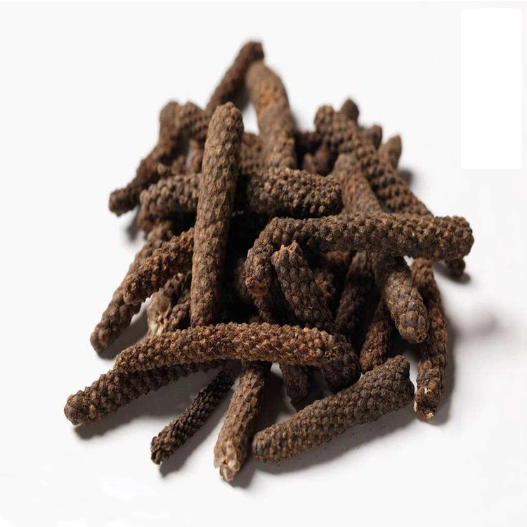 Dried Long Pepper Spice Bi Ba Premium Piper Longum for Food