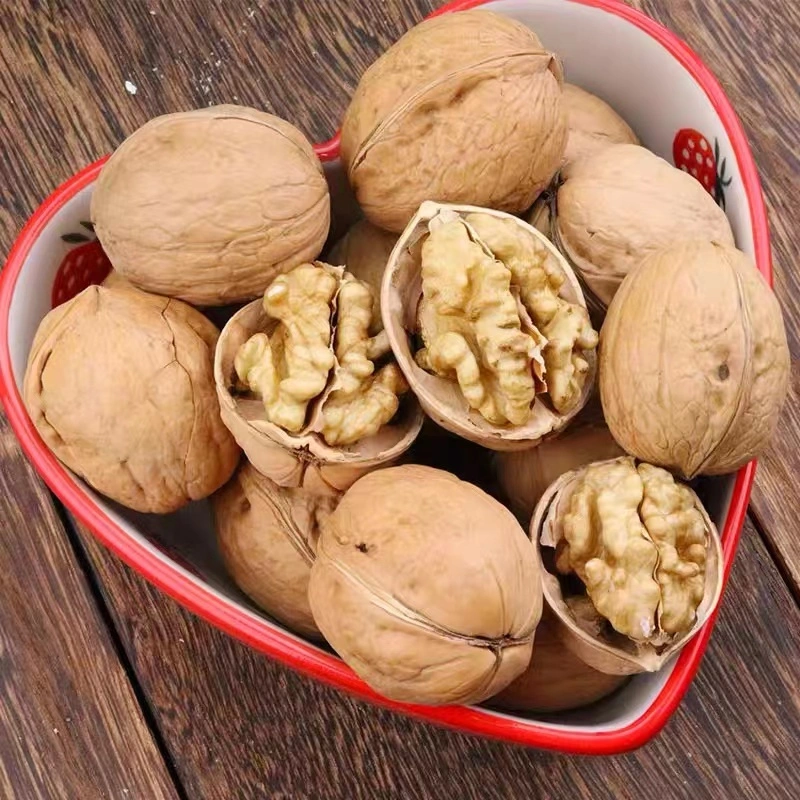 سعر الجملة الرخيصة عالية الجودة walnuts Chandler Inshel walnuts