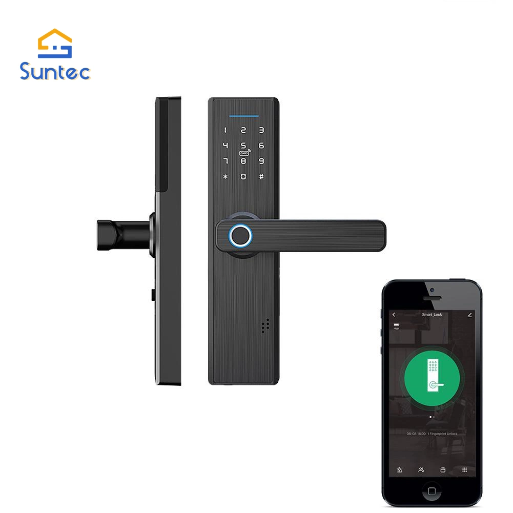 WiFi Multiple Unlocking Fingerprint Password, Card, Key Security Smart Door Lock