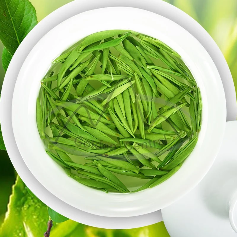 Chinese Green Tea Wholesale/Supplier Free Sample 100% Organic Green Tea