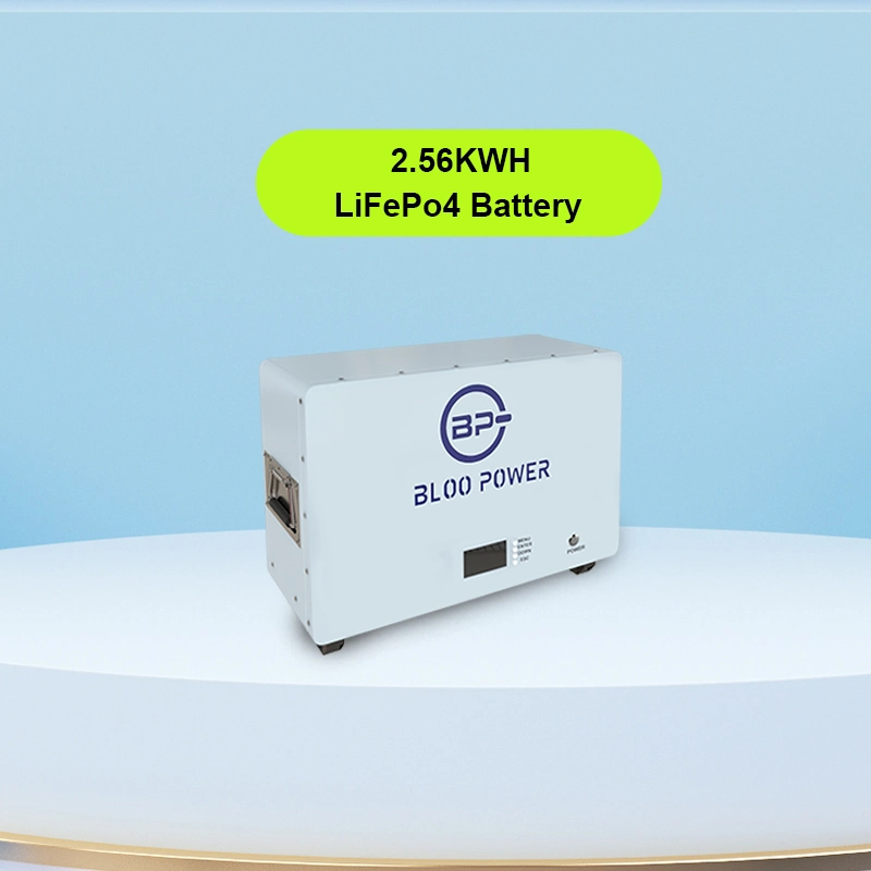 Bloopower System Reviews Household Panel Backup Station Hybrid USB Solar Cargador Banco pared larga vida carga rápida
