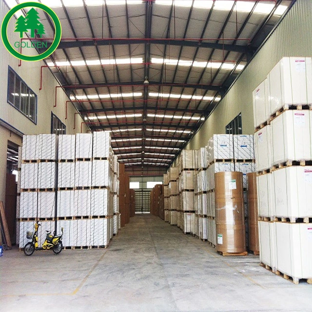 Wholesale/Supplier White 60 GSM Woodfree Notebook Printing Paper