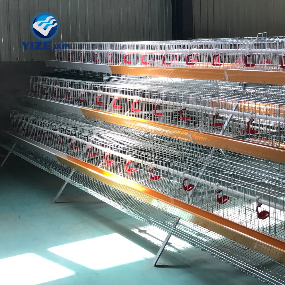 Chicken Laying Cage/Layer Egg Chicken Cage/Poultry Farm Design