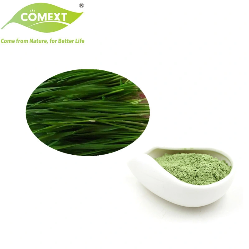 Comext USA Warehouse in Stock Free Sample High Quality Organic Wheat Grass Powder