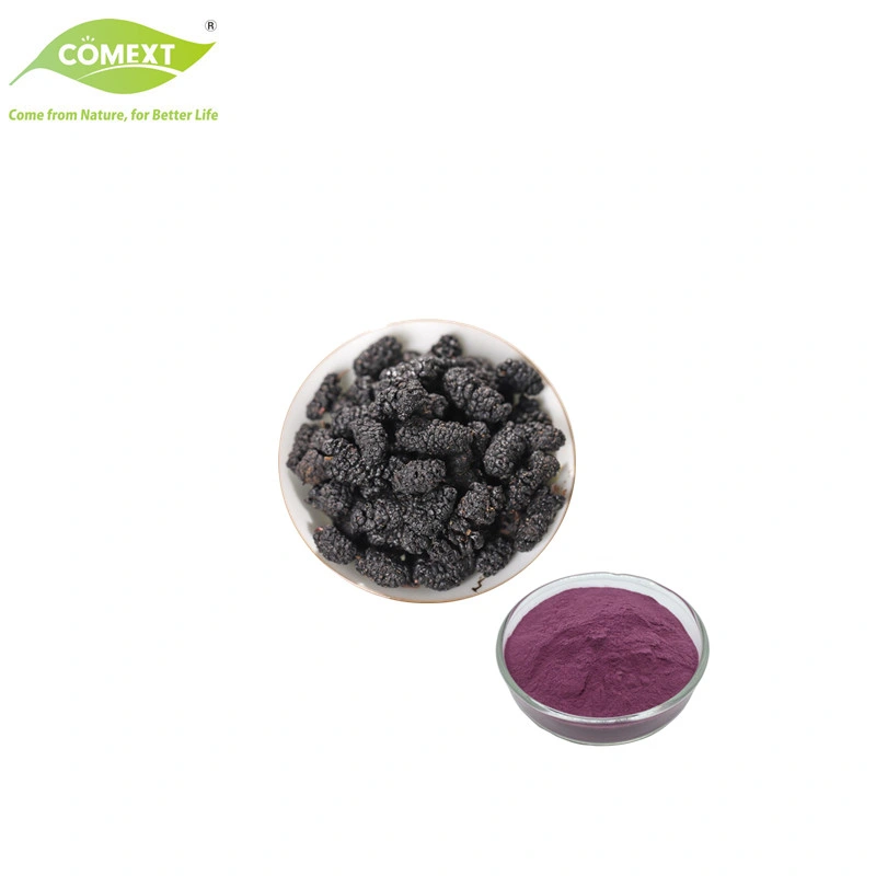 Comext Natürliche Mulberry Fruit Extract Mulberry Fruit Powder Saftpulver