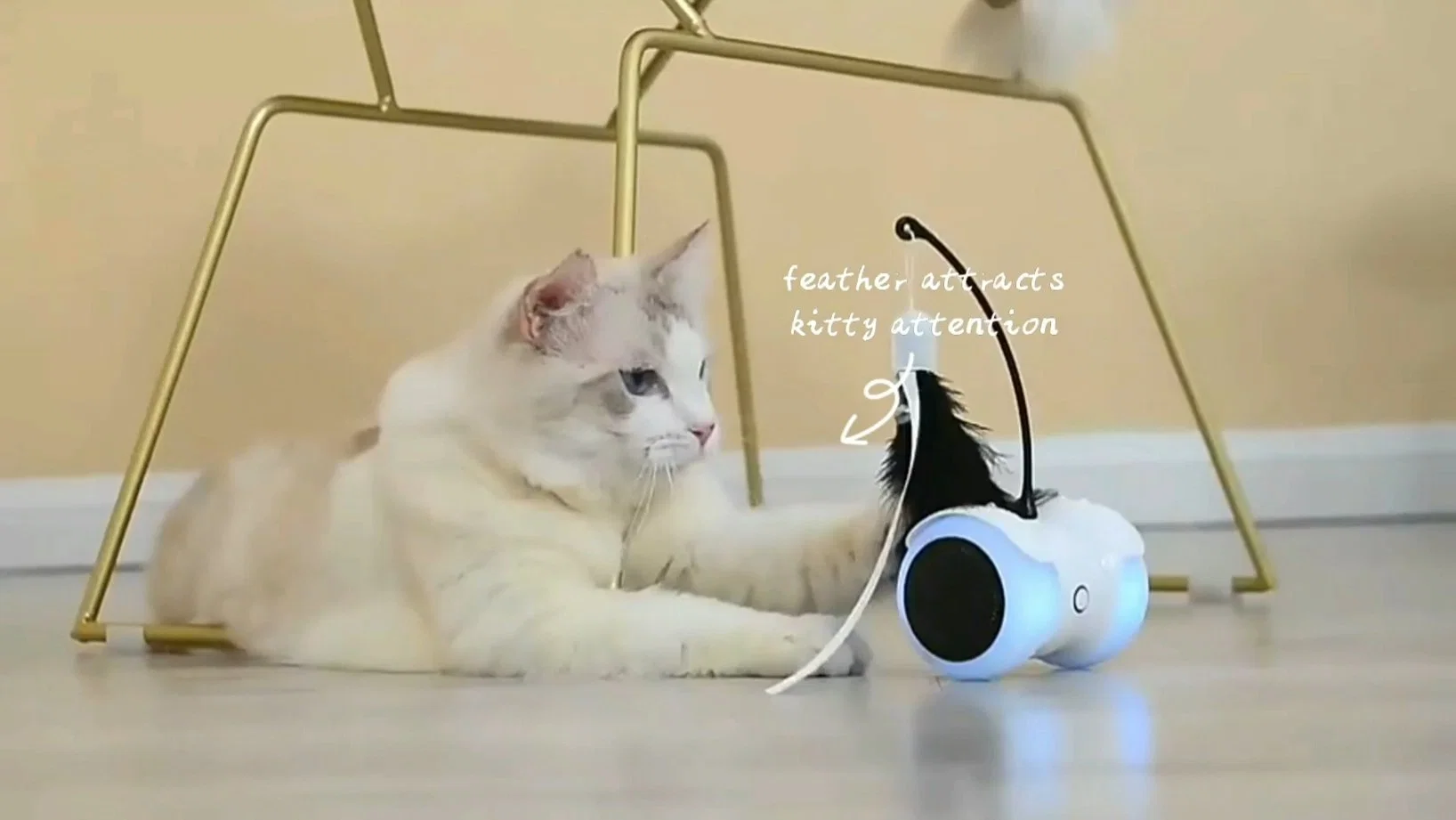 Copo automático para robot Cat Toys