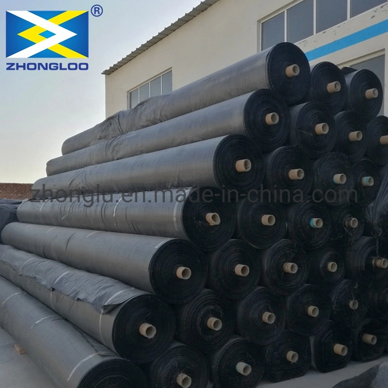 Fish Farm Pond Liner HDPE Geomembrane Waterproof Plastic Materials