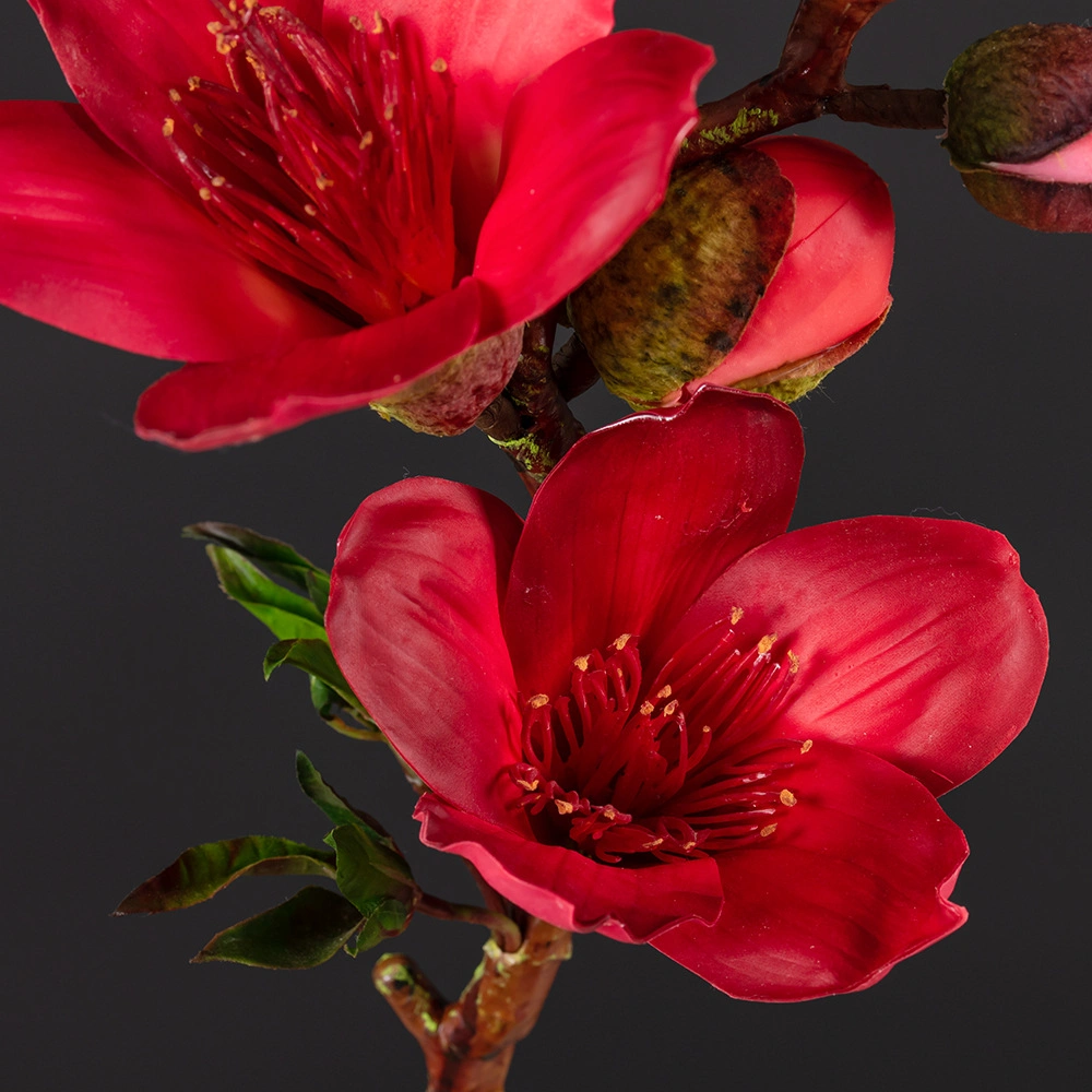 Artificial de decoração Sumaúma ramo de flores de alta qualidade, toque Real de Plantas Ornamentais Magnolia Flower