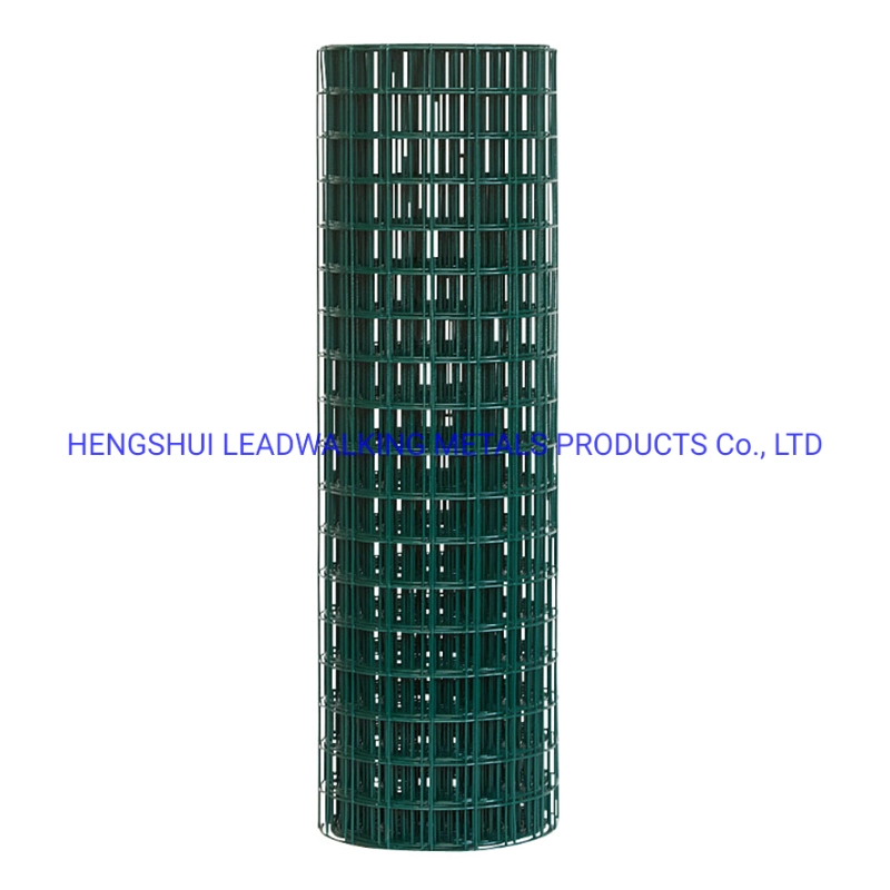 Galvanized Wire Mesh / Galvanized / PVC Coated Welded Wire Mesh for Garden Fence and Cages