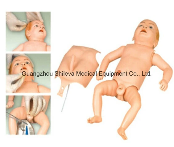 Medical Functional Senior Infant Nursing Model Training for Hospital School Slv-H140