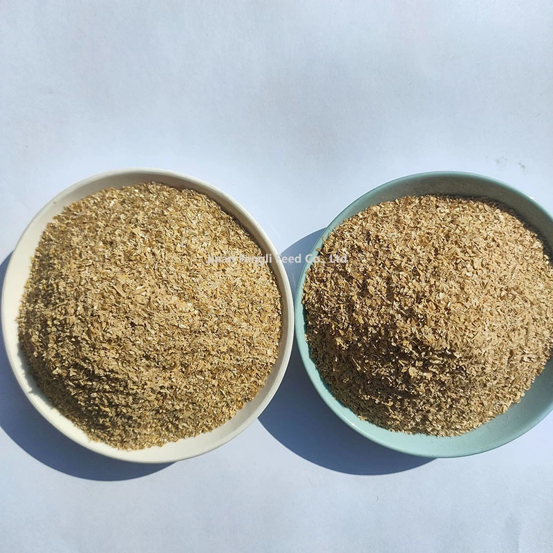 Proteína matéria orgânica elevada é sua vantagem casca de arroz pó Multifunções