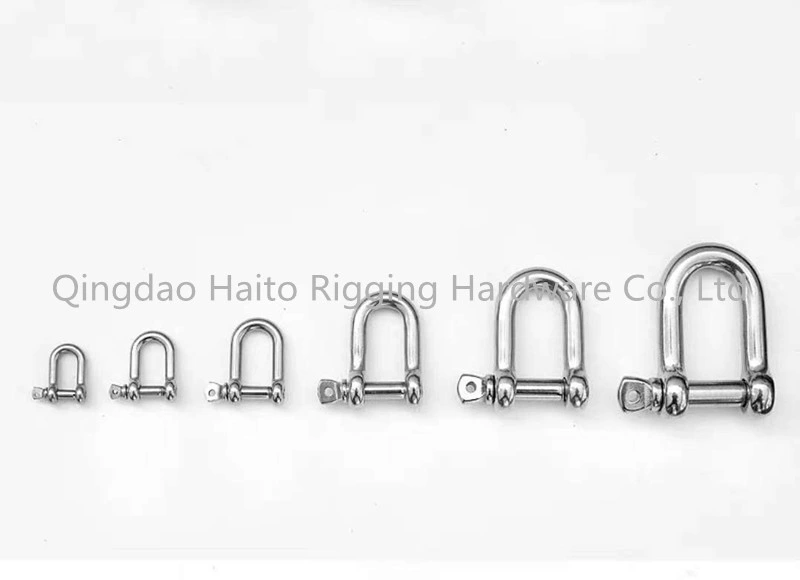 Stainless Steel European Type Dee Shackle 304/316 with Sale Online