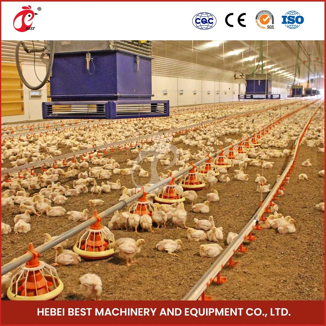 Bestchickencage Broiler Deep Litter System Sample Available China Easy Installation Feature Broiler Poultry Farming Deep Litter System Manufacturer