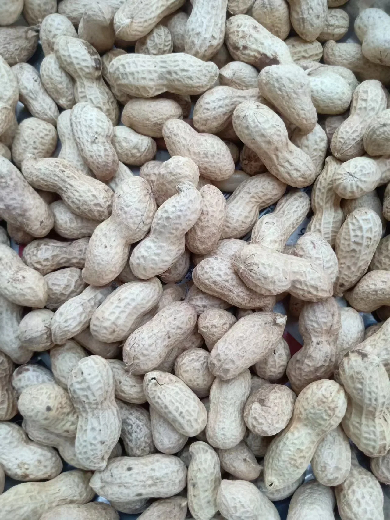 Food Grade Virginia Washed Raw Groundnut in Shell