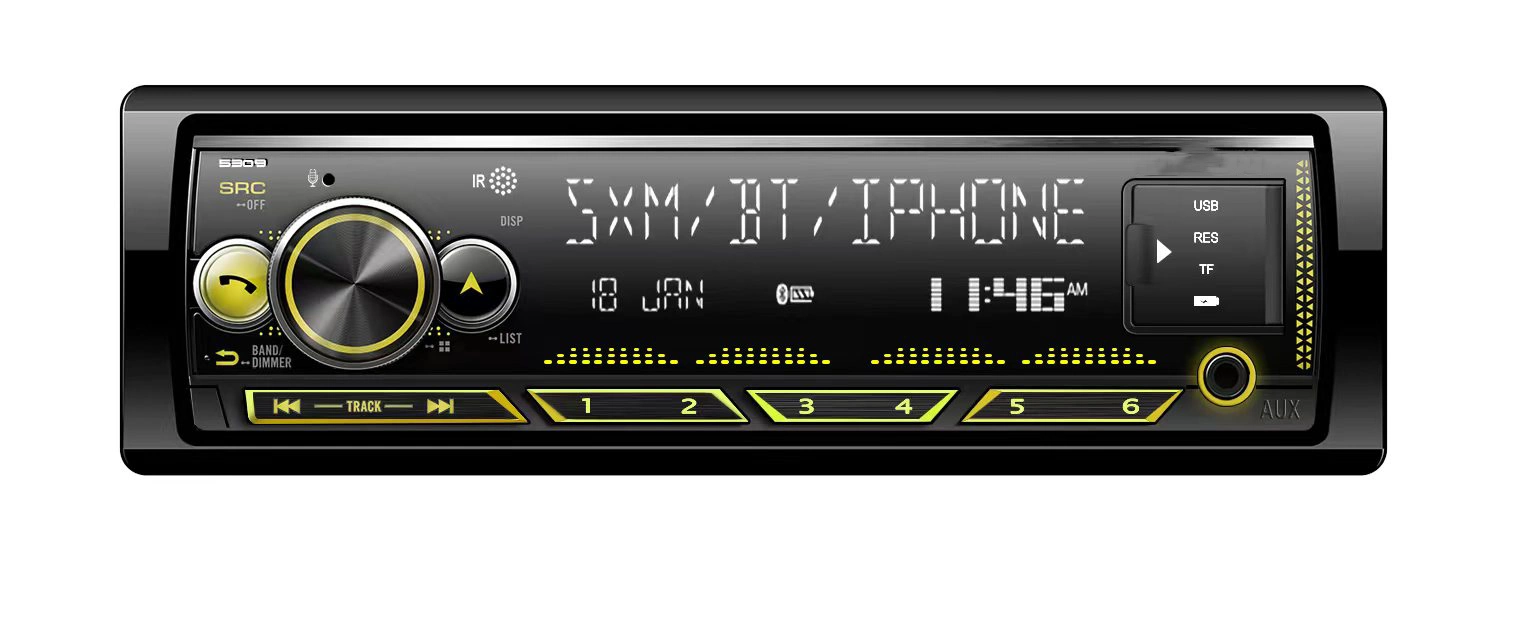 DAB RDS LCD Single DIN Car Stereo Receiver Push to Talk Assistant Bluetooth Hands Free Calling & Music Streaming Am/FM Radio USB Playback & Charging