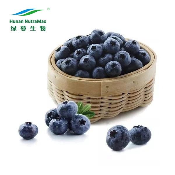 Blueberry Extract Powder Juice Powder / Juice Concentrate