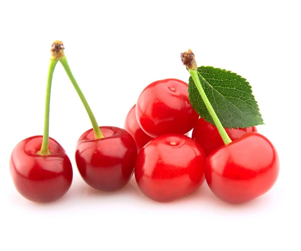 ISO Factory Best Quality 10%~70%Vitamin C Acerola Extract