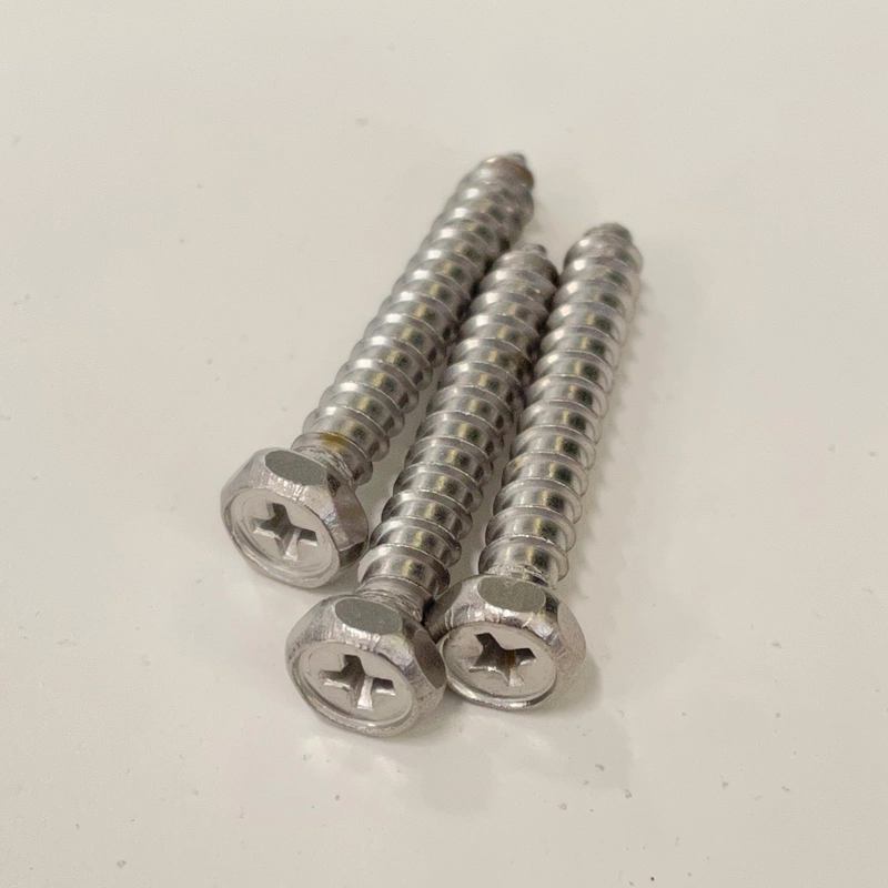 Stainless Steel Tapping Screw SS304 Pan Head Self Tapping Screws