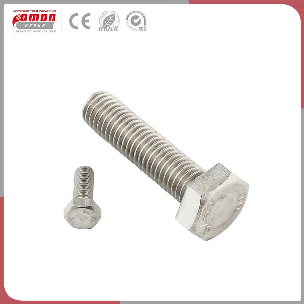 Building Anchor Metal Stainless Steel Nuts Moulding Bolts