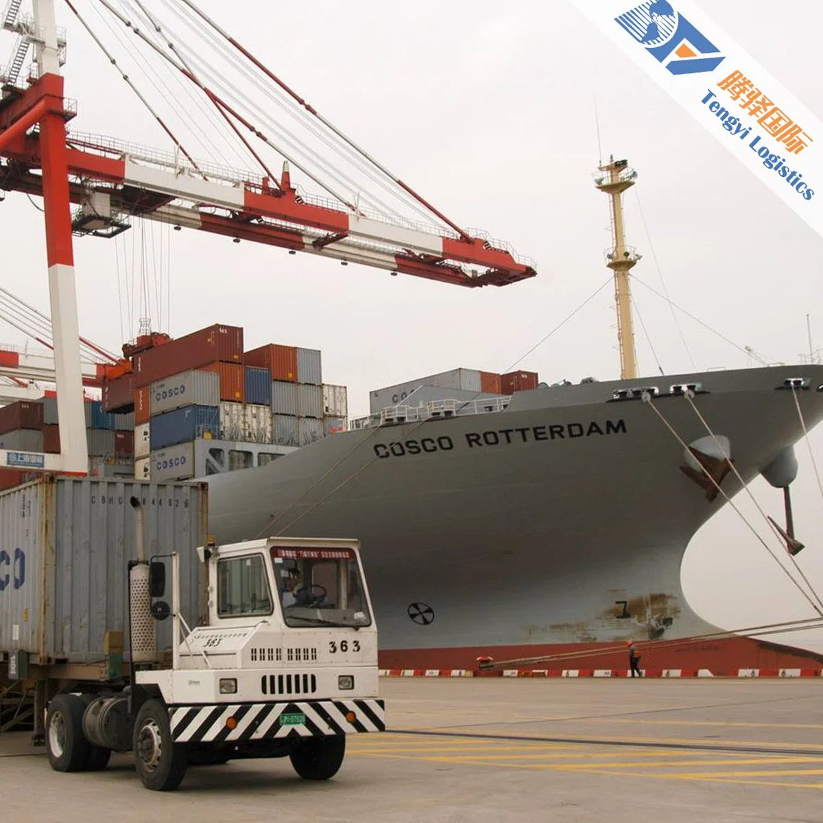 Professional DDP Sea Shipping Agent Forwarder to Ireland Sweden