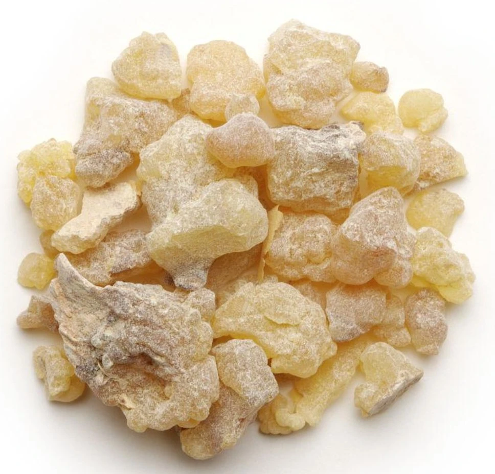 Palavra bem-estar Boswellia serrata Extract ácido Anti-envelhecimento antioxidante farmacêutico químico Extrato de planta