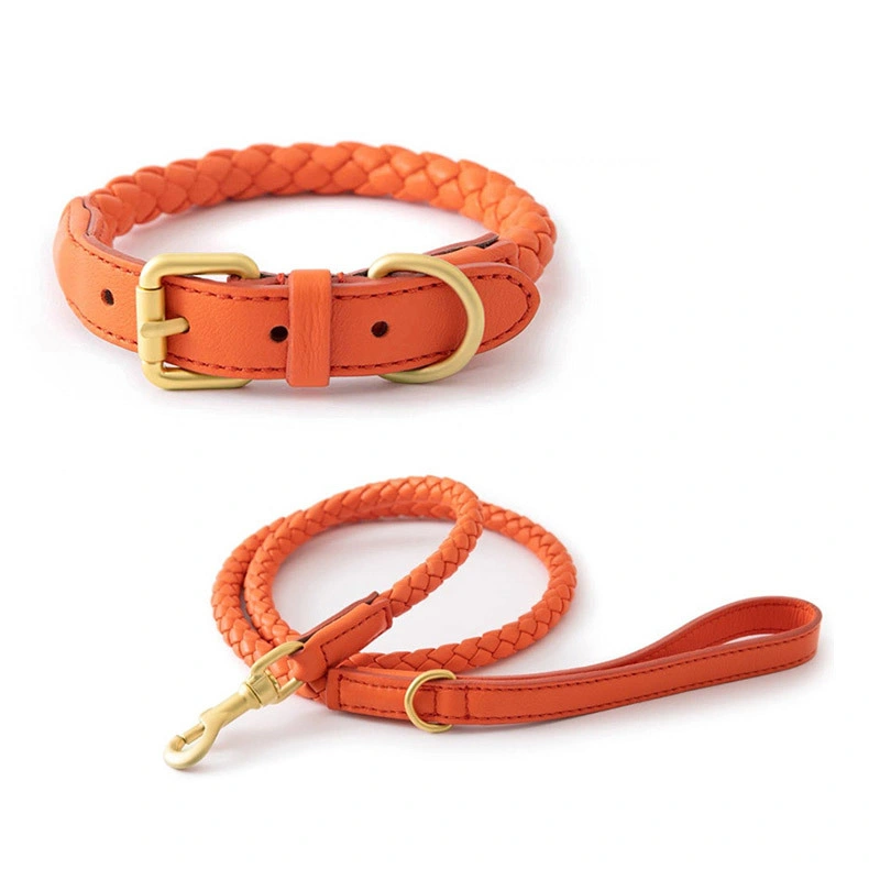 Pet Product Leather Adjustable Dog Collar and Leash Use for Small Medium and Large Dogs Walk Training