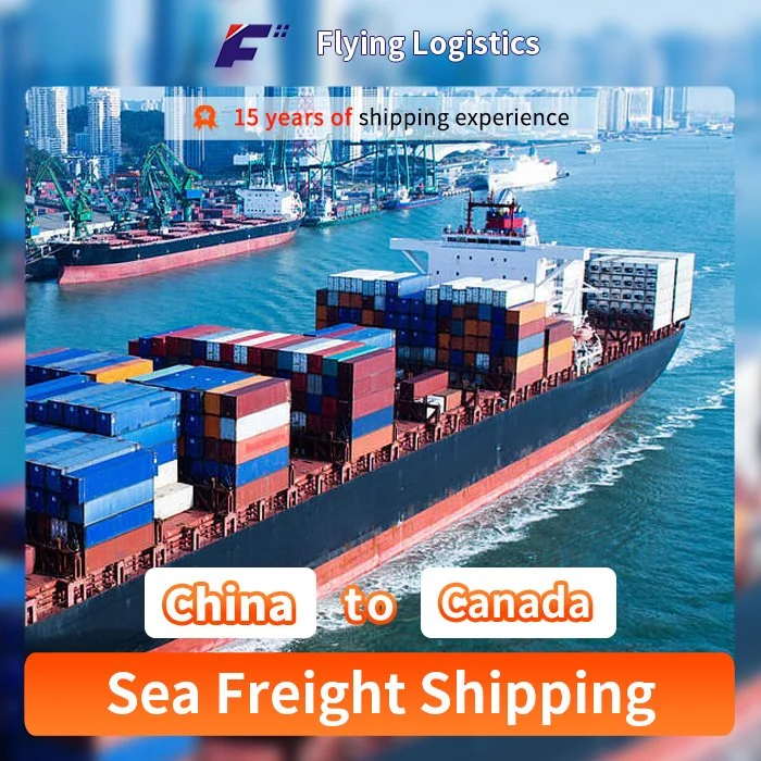وكيل الشحن البحري للشحن البحري للنقل البحري/الجوي/السكك الحديدية من الصين إلى خدمة النقل والإمداد في كندا