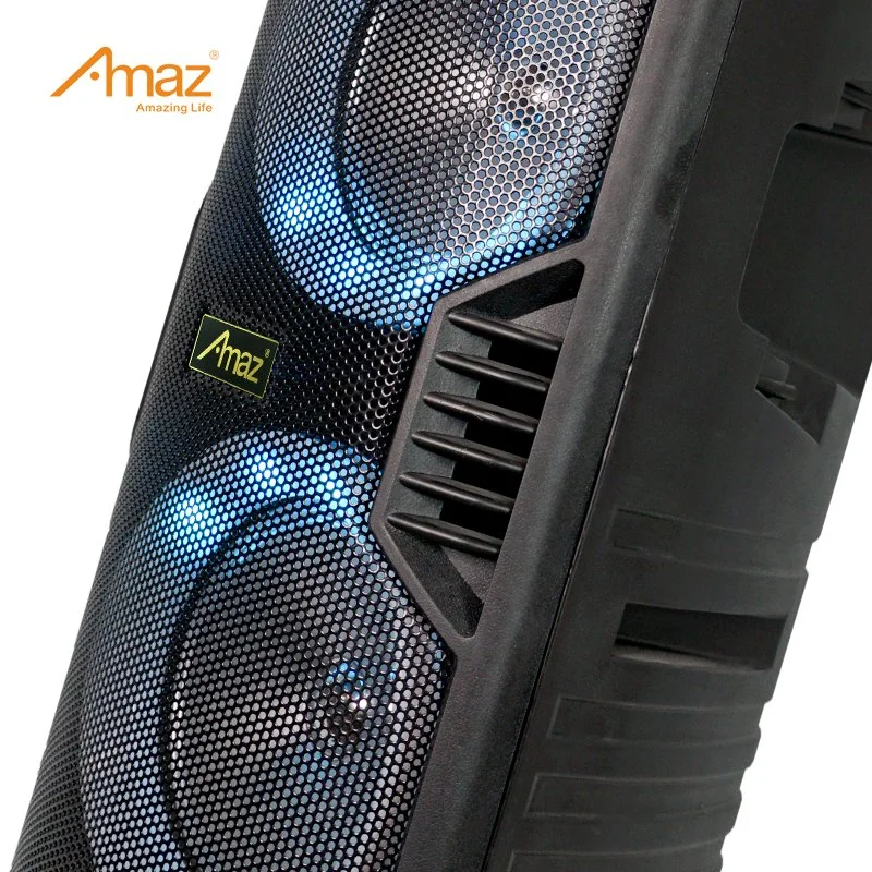 OEM Customized Dual 6.5inch Portable Plastic Speaker Box with Bluetooth