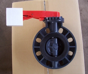 High Performance Plastic Butterfly Valve DIN ANSI JIS Standard Level &amp; Worm Gear Type Handle