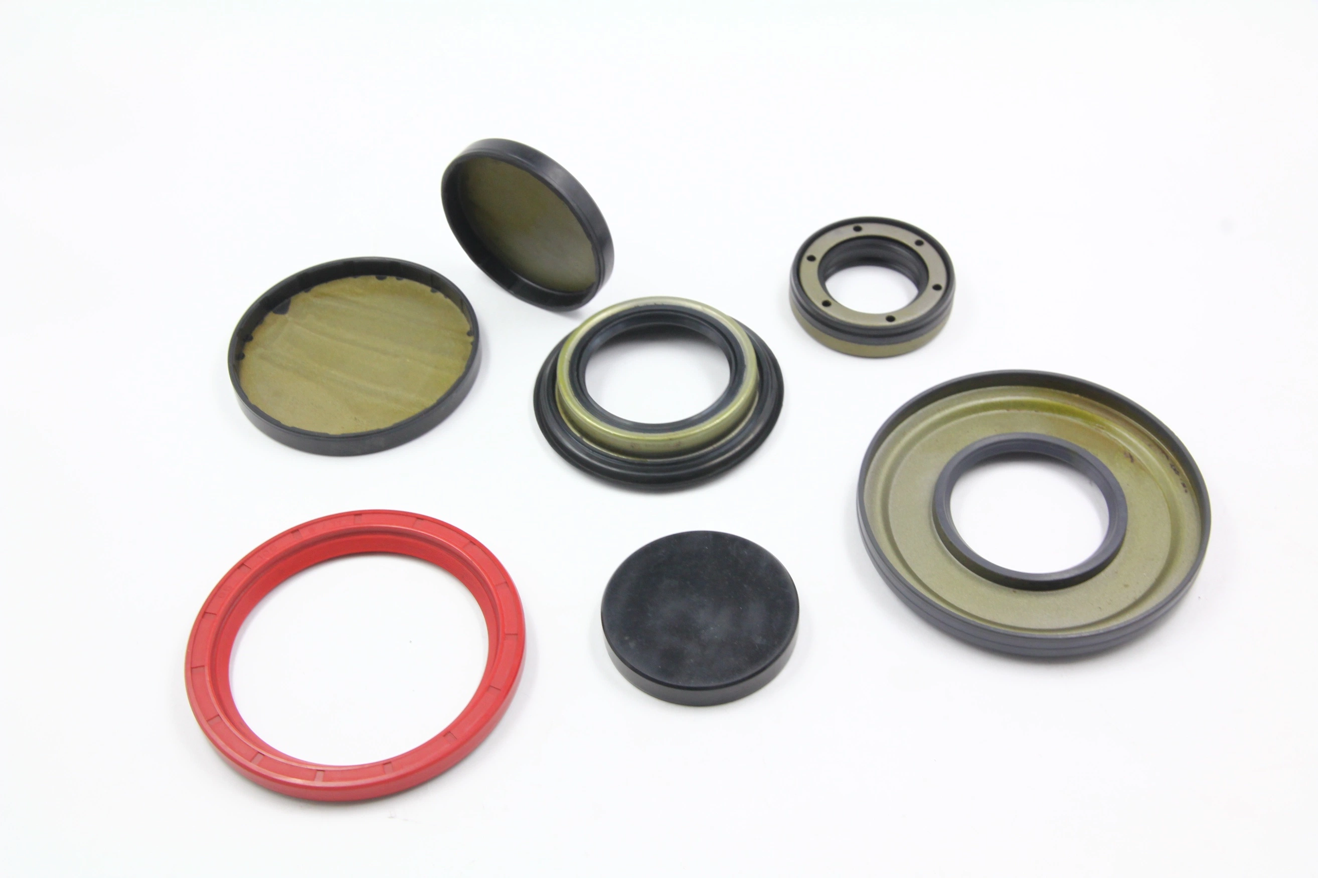 270*310*16 Tc Oil Seal in Custom Size