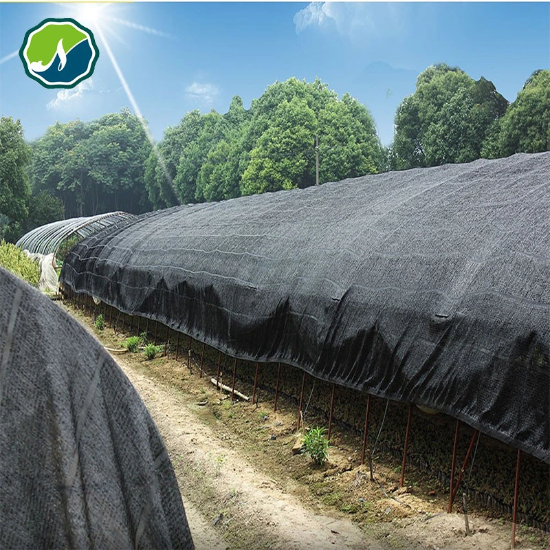 Wasserdichtes Sonnenschutznetz 100% HDPE Grün 40% Schattentuch Segel Elastische Mesh Netting China Schatten Tuch Rolle Landwirtschaft