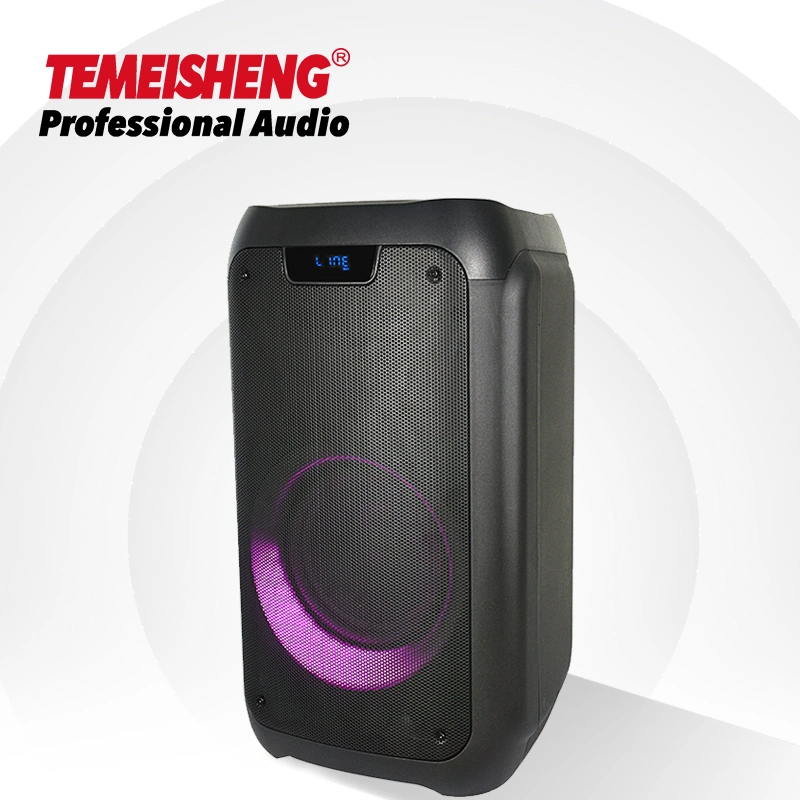 2022 Temeisheng 8 Inch Manufacture Factory of Newest Tws Portable Party Box Speaker