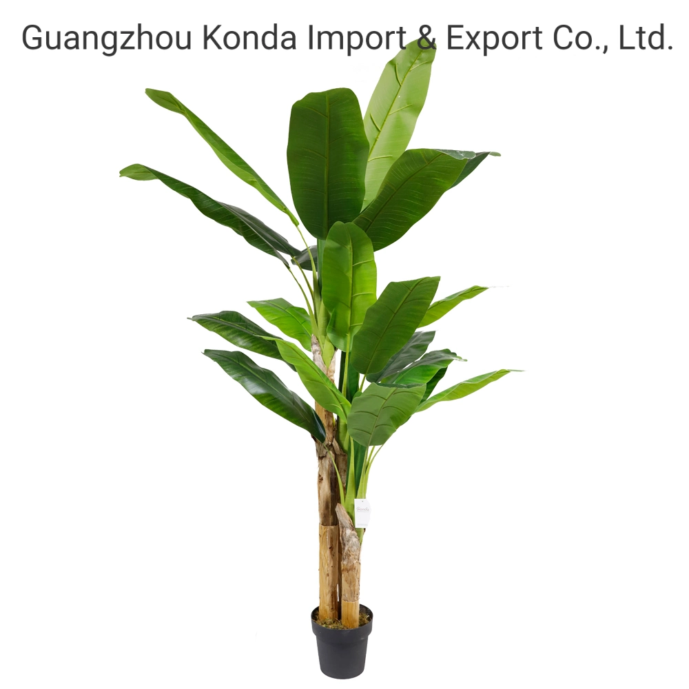 Banana Leaf Tree Skybird Bird of Paradise Plant Tree for Home Bonsai Plants Decor