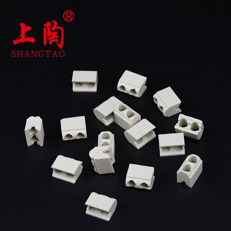 2022 Shanghai Gongtao 6mm 2holes Customized Alumina Zirconia Electrical Ceramic Plunger Ceramic Parts Insulator for Pump