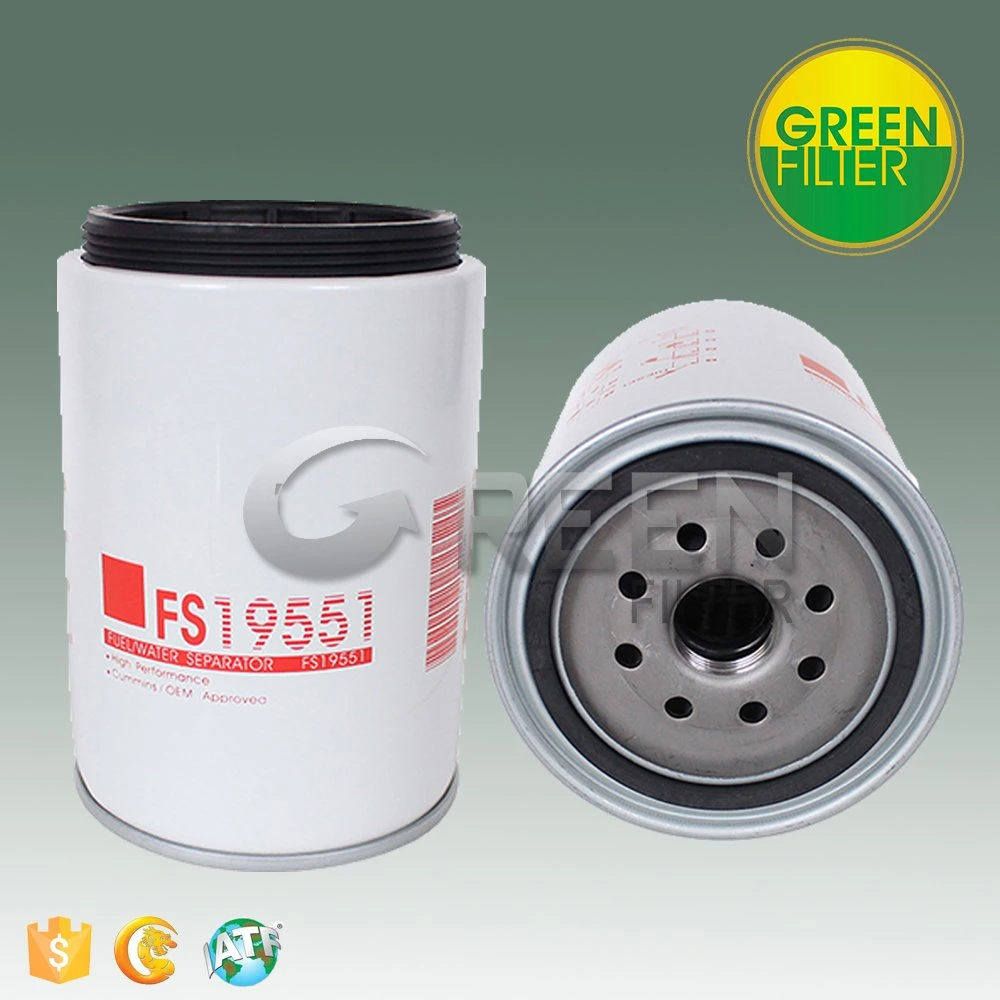 Fuel Filter for Car Diesel Engine (FS19551)