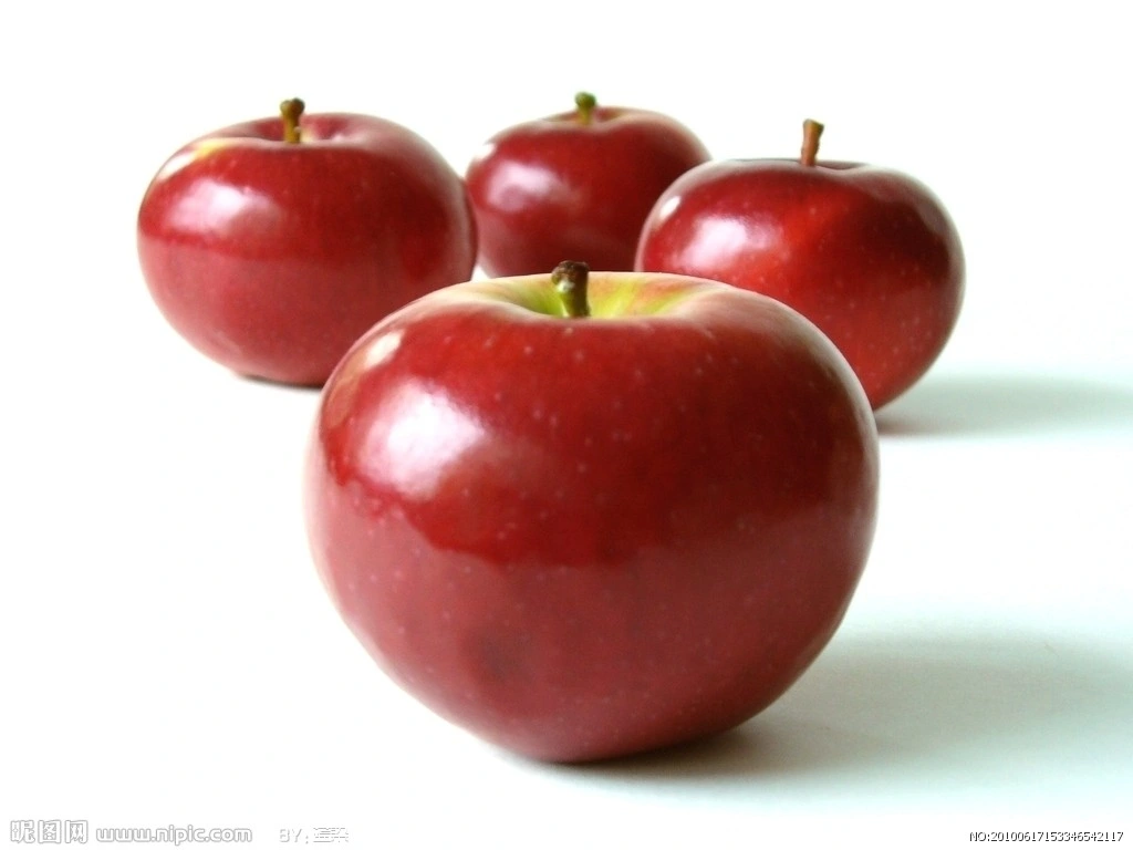 Contrôle du poids en vrac vinaigre de cidre de pomme biologique pur pomme en poudre Extraire le produit