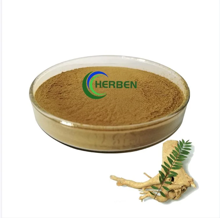Herben Supplier Muscle Recovery Tongkat Ali Increase Lean Muscle Mass Eurycomanone