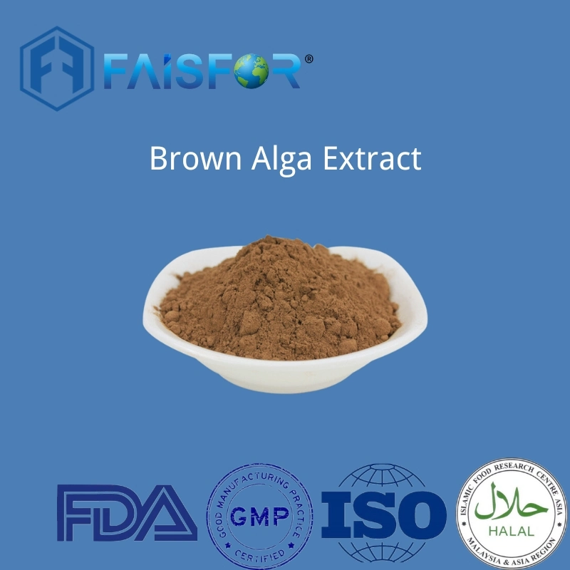 Brown Algae Kelp Extract More Than 20% Fucoxanthin Powder