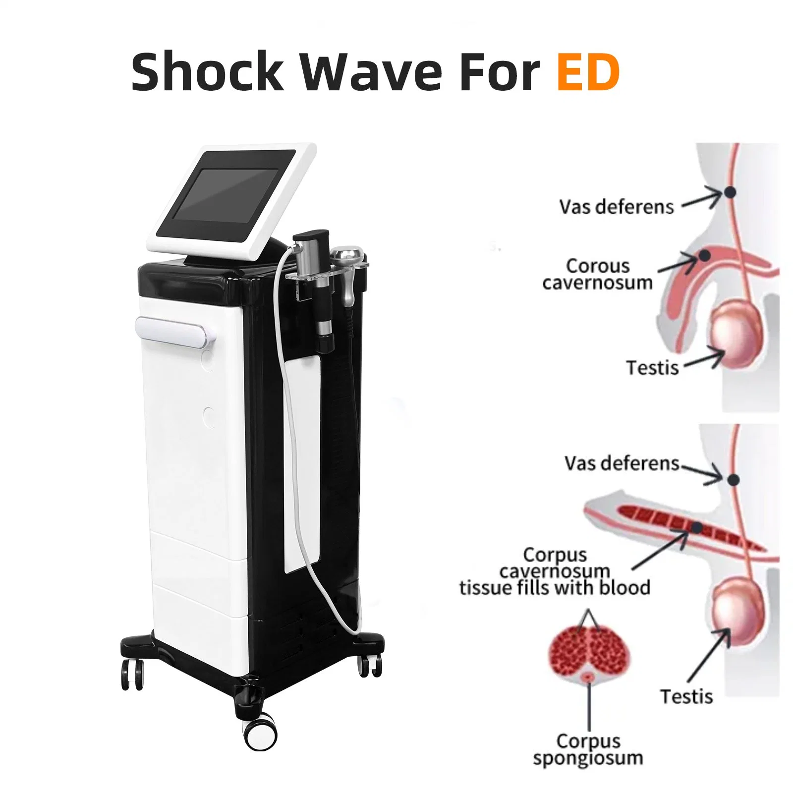 Shefmon Vertical Pneumatic Shockwave Therapy Machine Erectile дисфункция Shockwave для Физическая терапия